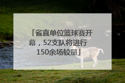 省直单位篮球赛开幕，52支队将进行150余场较量